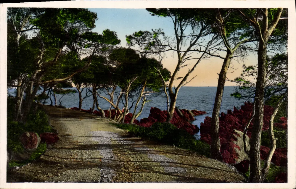 A Costa do Azul — O caminho sob os pinheiros — Les Éditions Frantz, Nice, n°327 - Frente