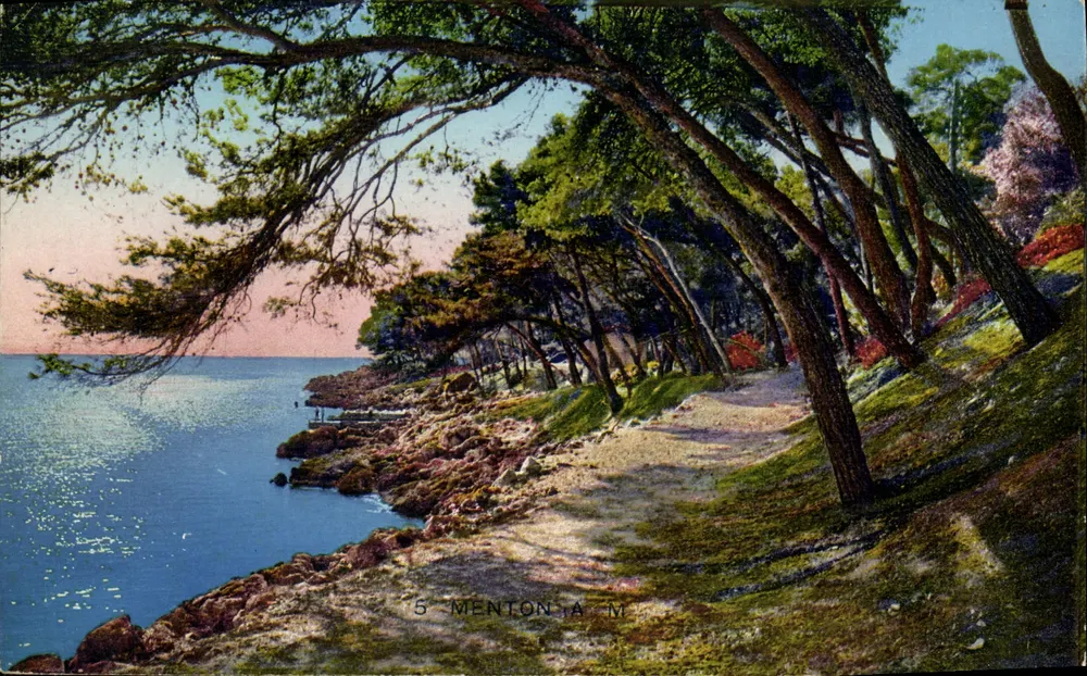 Menton — Vista da margem do mar sob os pinheiros — editor A.M. - Frente