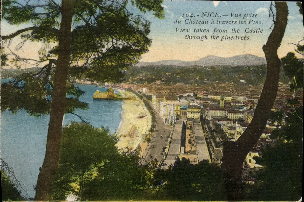 NICE — Blick vom Schloss durch die Kiefern — n°104 - Vorderseite