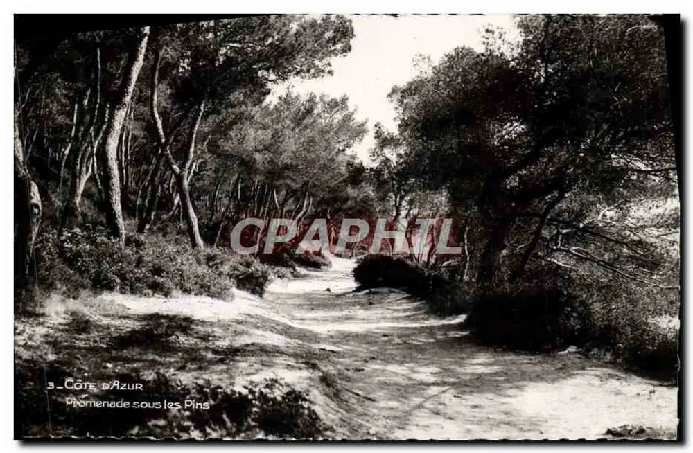 Côte d'Azur — Promenade sous les Pins — Éditions La Côte d'Azur, N° 4291 - Frente
