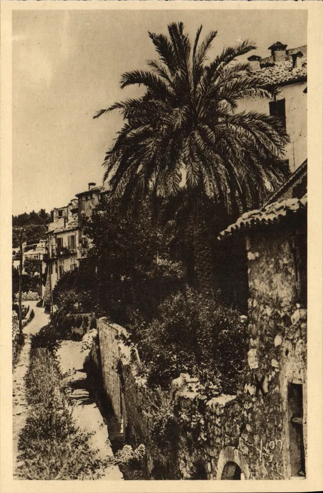 Saint-Paul (Alpes-Maritimes) — widok ulicy z palmą — La Douce France, nr 20 - Awers