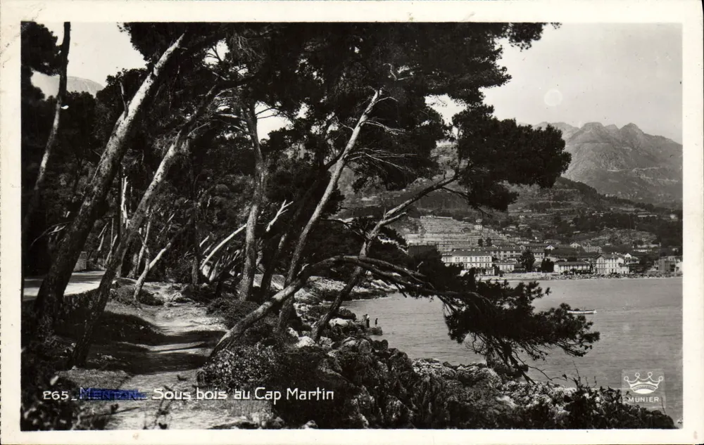 Menton — Matagal no Cap Martin — Munier, n° 265 - Frente