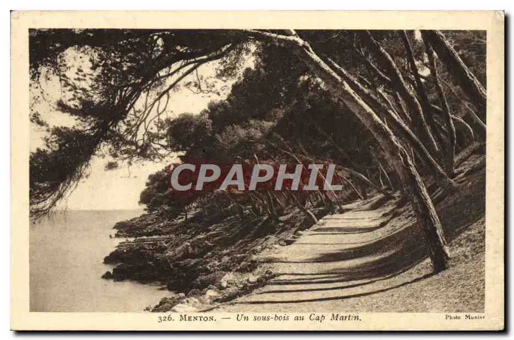 Menton — Ansicht eines Unterholzes am Cap Martin — Foto Munier, n° 326 - Vorderseite
