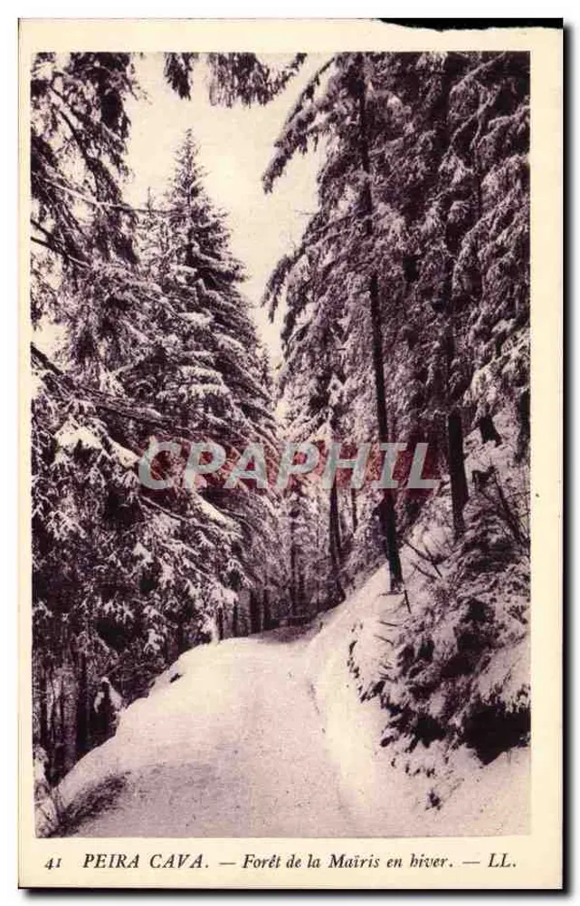 Peira Cava — Wald von Maîris im Winter — LL. n° 41 - Vorderseite