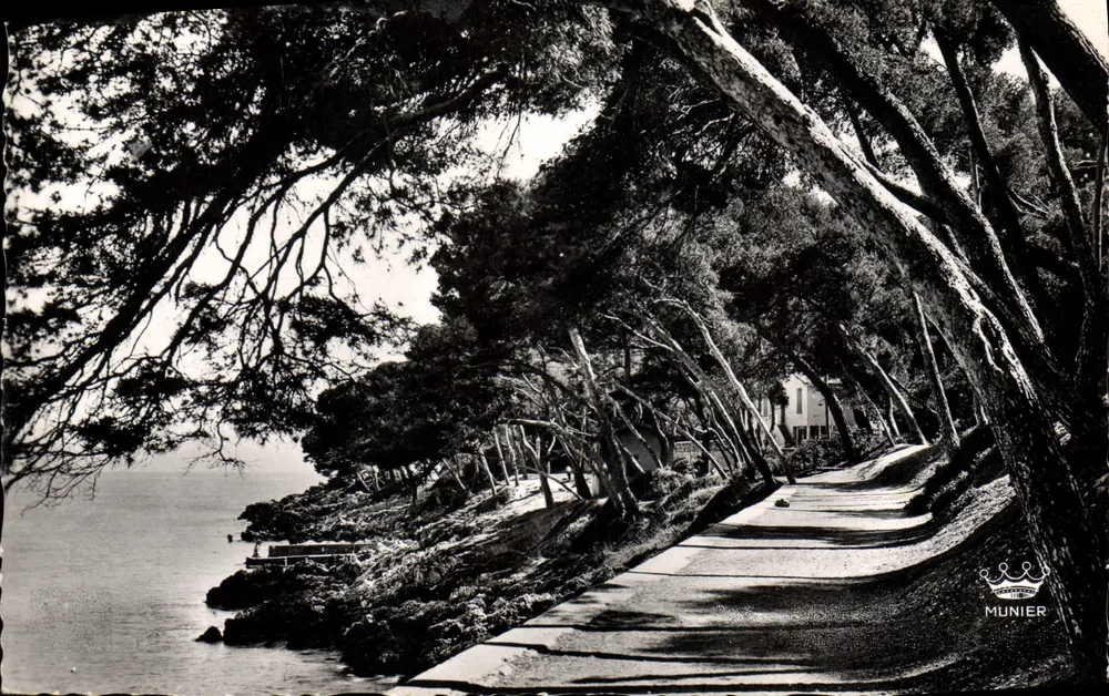 Sob a floresta no Cap Martin — Menton — Munier - Frente