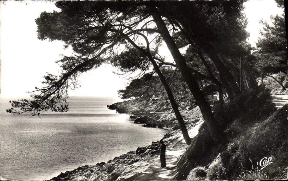 Die Promenade von Cap-Martin — Umgebung von Menton — Real-Photo-Cie des Arts Photomécaniques - Vorderseite