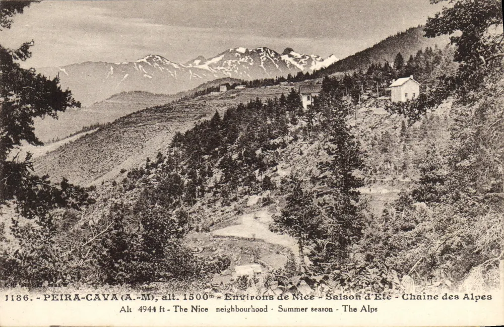 Peira-Cava (A.-M.) — Alt. 1500m — Arredores de Nice — Temporada de Verão — Cadeia dos Alpes - Frente