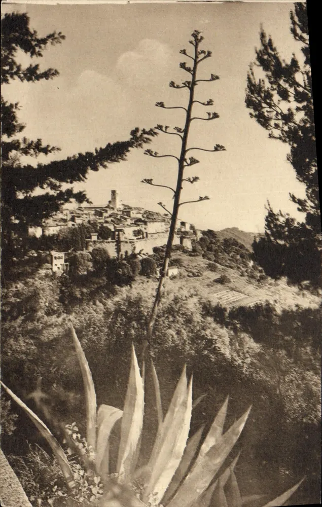 Saint-Paul (A.M.) — Vista geral — Collect. Riviera, 28 rue Marceau, Nice - Frente