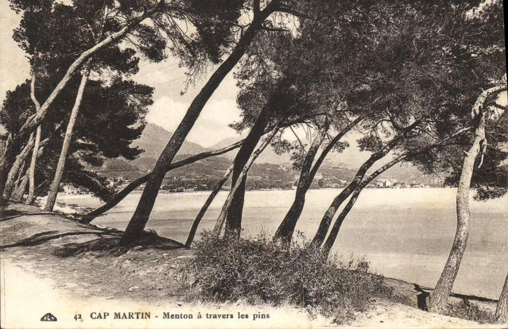 CAP MARTIN - Menton przez sosny — wydawca 6e Albacienne des Arts Photomécaniques, Strasbourg, nr 42 - Awers