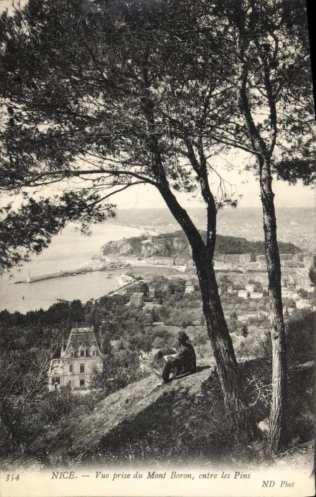 NICE — Ansicht vom Mont Boron zwischen den Kiefern — ND Phot, n° 354 - Vorderseite