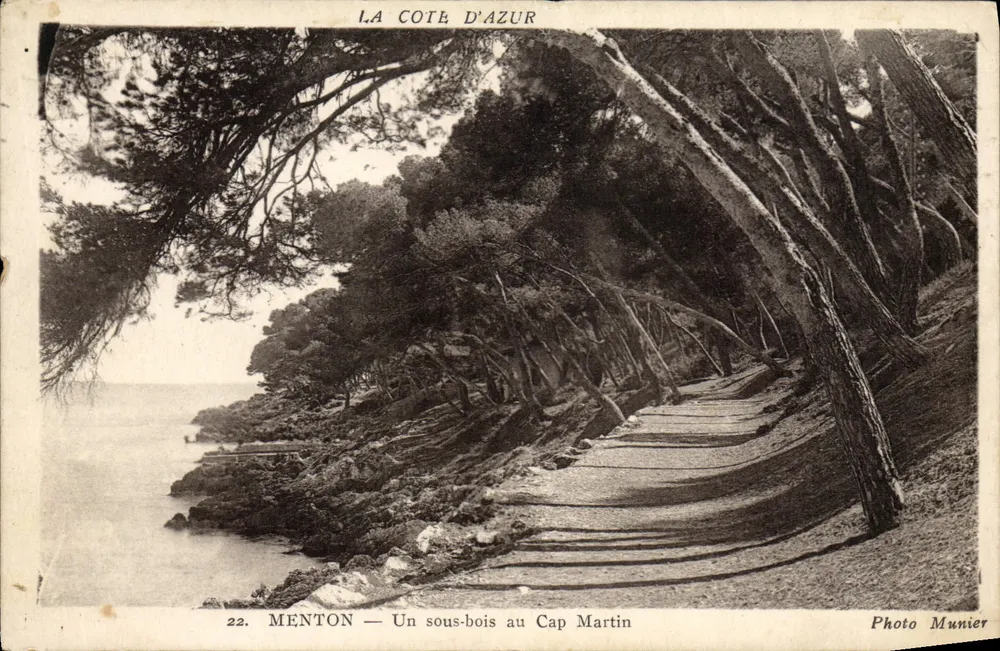 Menton — Um bosque sombreado no Cap Martin — Foto Munier - Frente