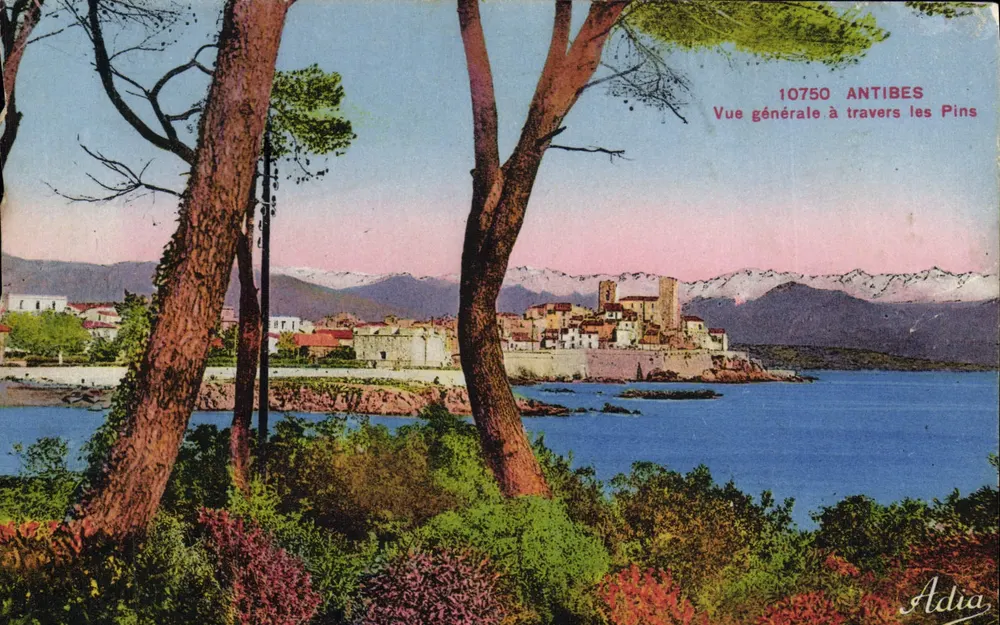 Antibes — Vista geral através dos Pinheiros — Adia, n° 10750 - Frente