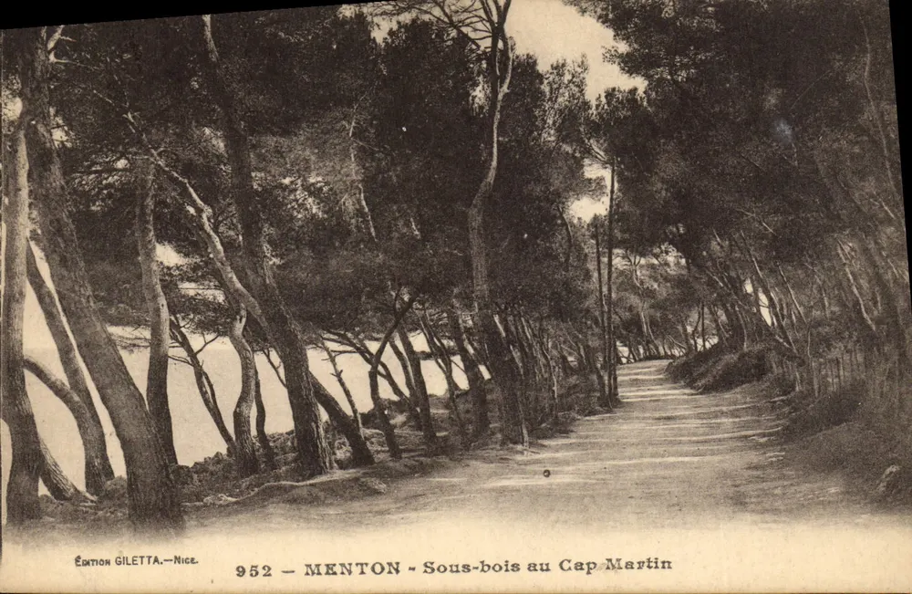 Menton - Sous-bois no Cap-Martin — Edição Giletta, Nice, n° 952 - Frente