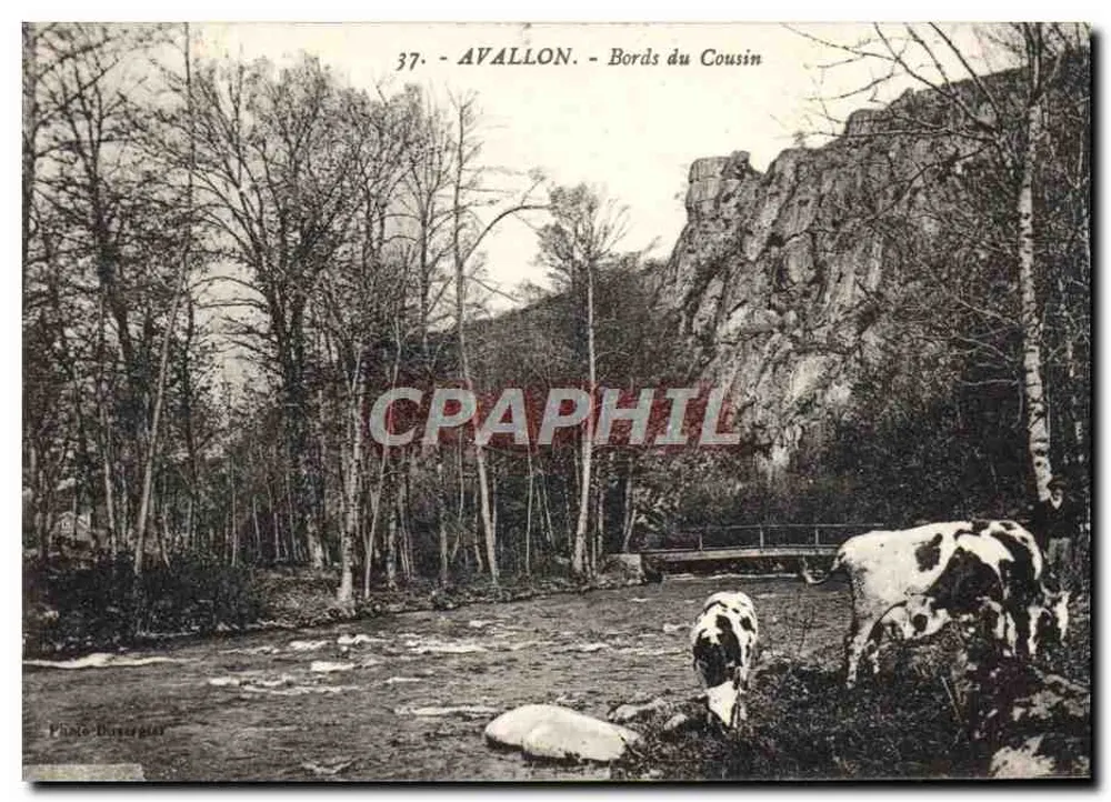 Avallon - Bordas do Cousin — Foto Boursegat, n°37 - Frente
