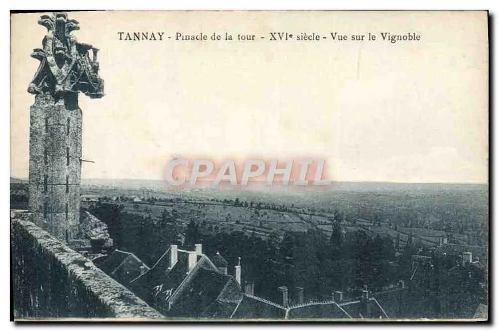 Tannay - Spitze der Turm - 16. Jahrhundert - Blick über den Weinberg - Vorderseite