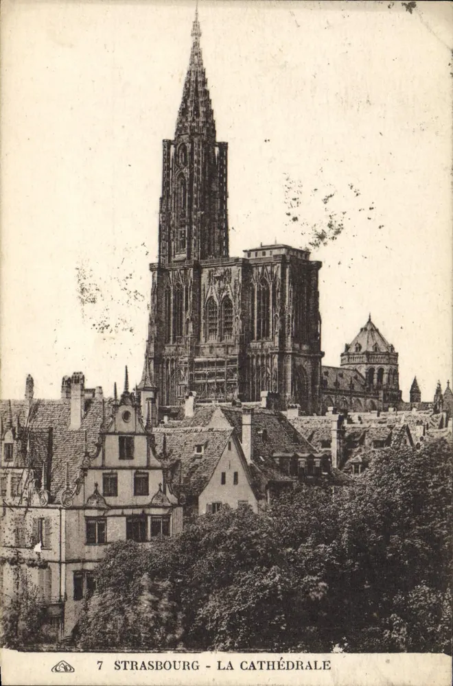 Estrasburgo - A Catedral — vista da ponta da torre e dos telhados — editor '7' e n°7 - Frente