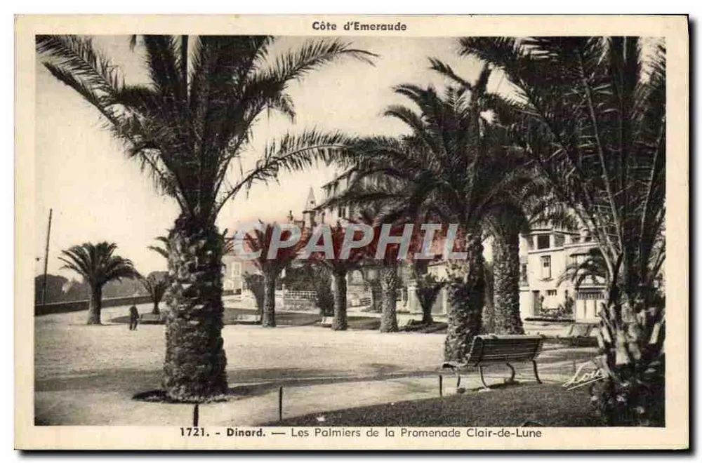 Dinard — Die Palmen der Clair-de-Lune Promenade — Küste der Emeraude — n° 1721 - Vorderseite