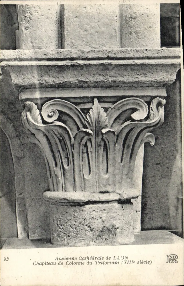 Säulenkapitell des Triforiums — Alte Kathedrale von Laon — 13. Jahrhundert — JND ROE - Vorderseite