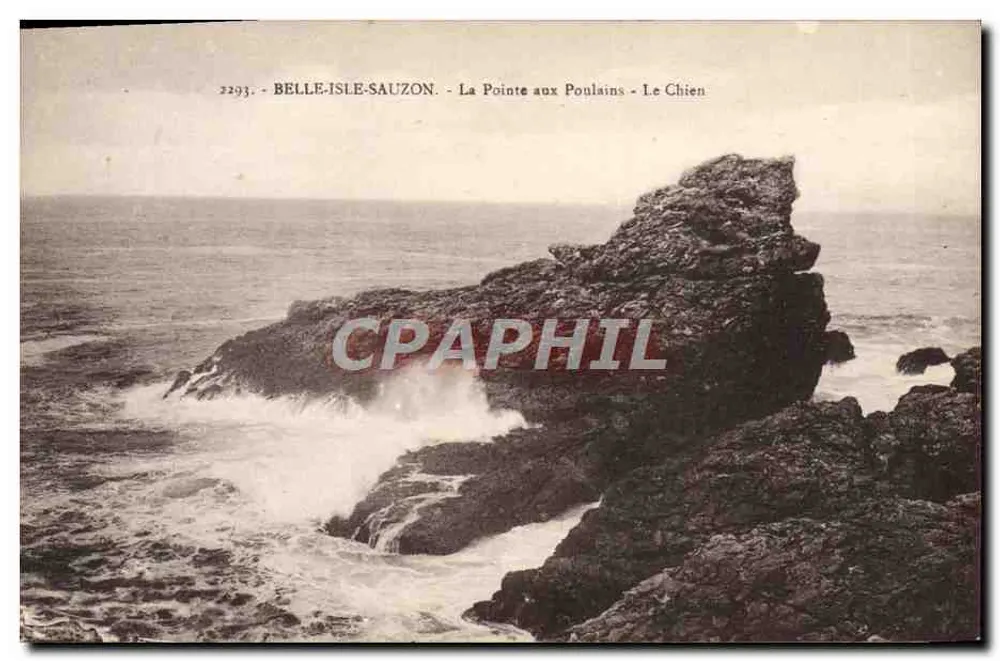 Belle-Île-Sauzon - La Pointe aux Poulaîns - Der Hund - Vorderseite