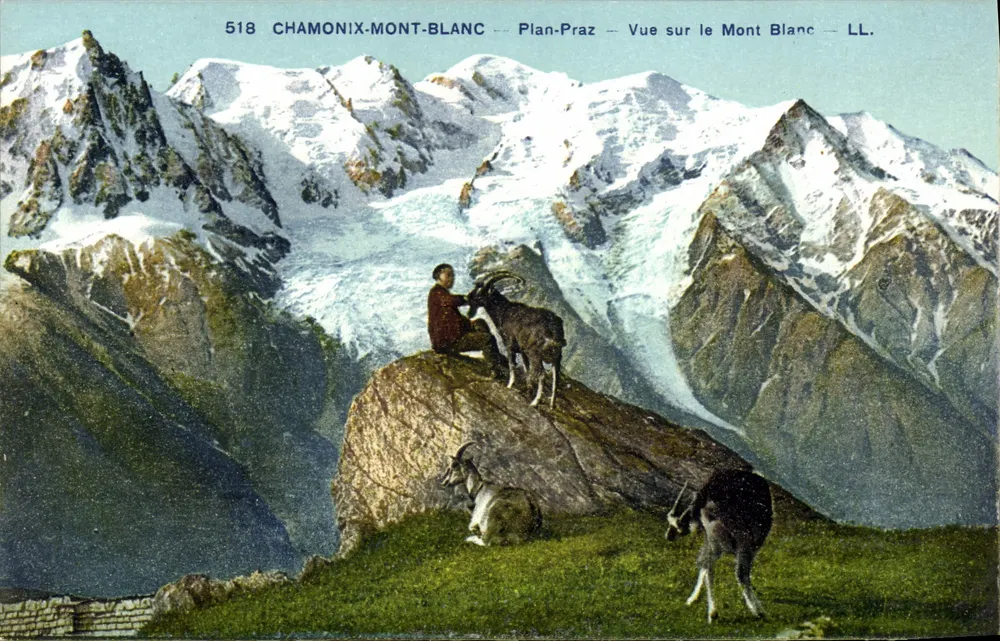 Chamonix-Mont-Blanc — Plan-Praz — Ansicht auf den Mont Blanc — LL. — Nr. 518 - Vorderseite