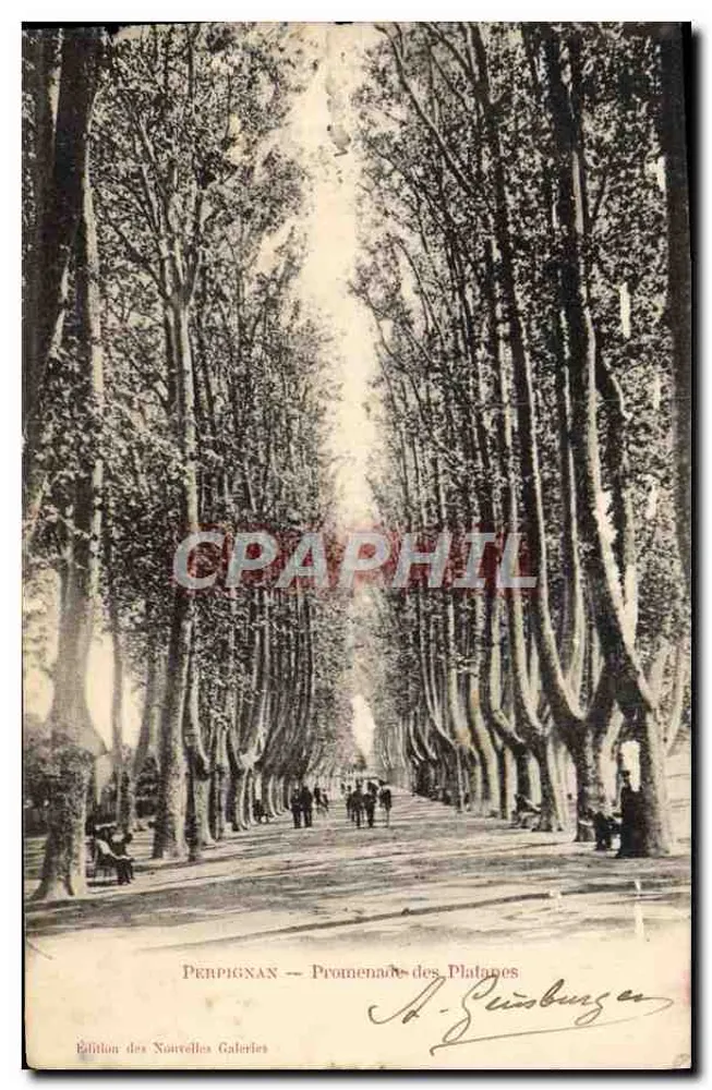 Perpignan — Promenade dos Platanes — Edição das Nouvelles Galeries - Frente
