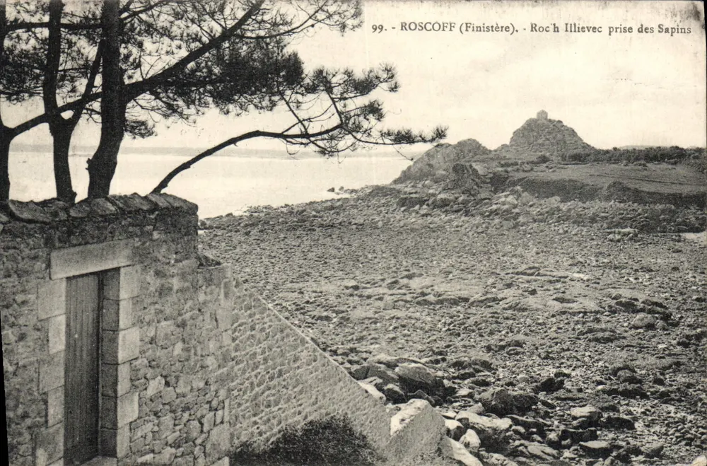 Roc'h Illievec — vista dos Pinheiros — Roscoff (Finistère) — n°99 - Frente