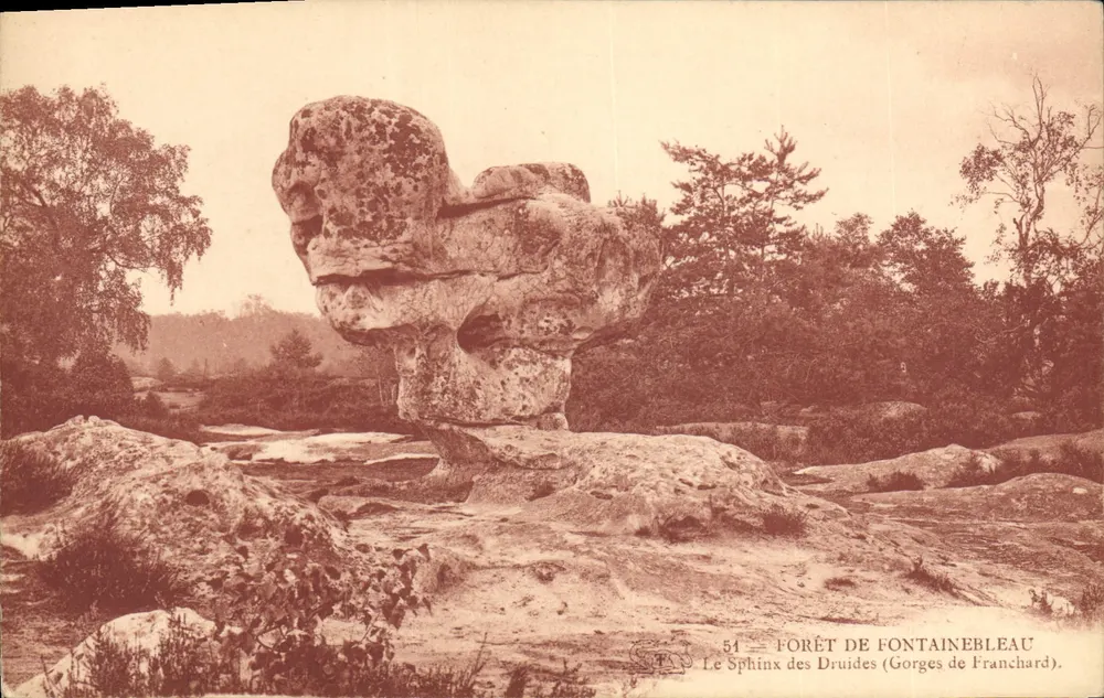 Der Sphinx der Druiden (Franchard Schluchten) — Forêt de Fontainebleau — Verlag T.F. Nr. 51 - Vorderseite