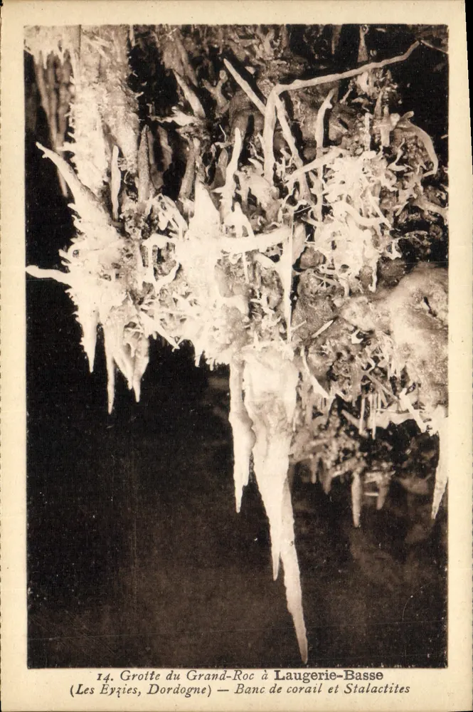 Höhle Grand-Roc in Laugerie-Basse — Korallenbank und Stalaktiten — (Les Eyzies, Dordogne) - Vorderseite