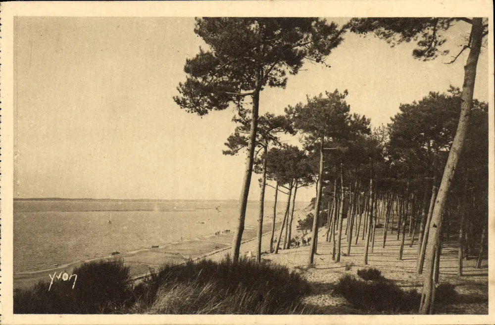Arcachon-Moulléau — Der Park der Abatilles — Éditions d'Art YVON - Vorderseite