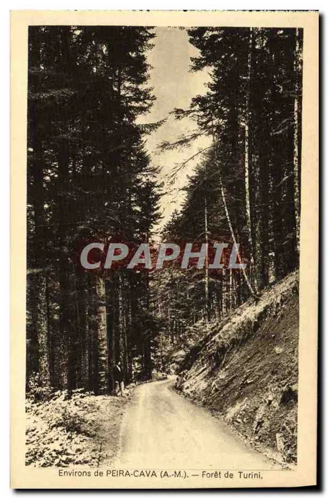 Environs de PEIRA-CAVA (A.-M.) — Floresta de Turini — Editor L. Gillet & Cie, Nice - Frente