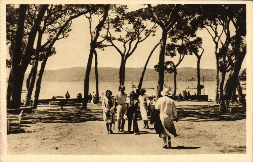 Juan-les-Pins — Promenade sombreada junto al mar — L. Gilletta et Cie, editor - Anverso