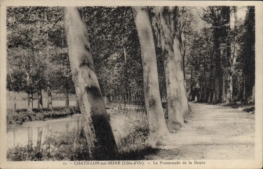 CHATILLON-sur-SEINE (Côte-d'Or) — A Promenade da Douix — Edição André by-vost - Frente