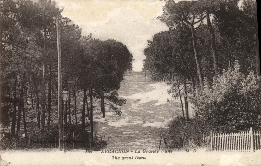 Arcachon — Wielka Pustynia — M. D. n° 556 - Awers