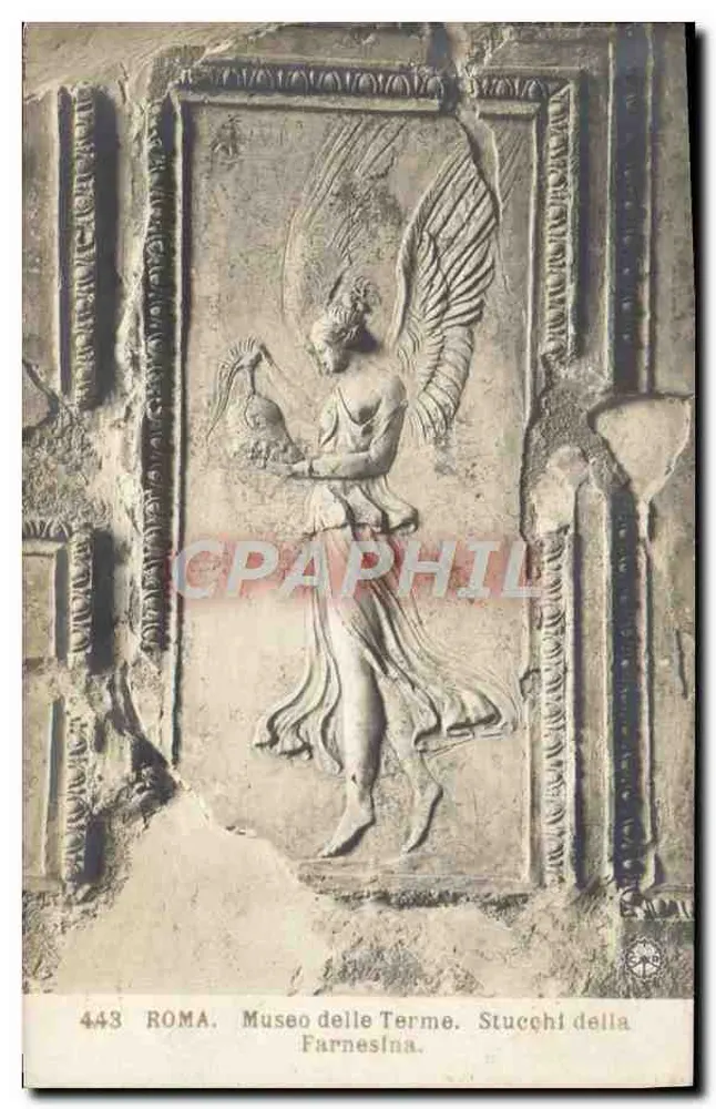 Rom - Museum der Therme - Stucco der Farnesina - Vorderseite