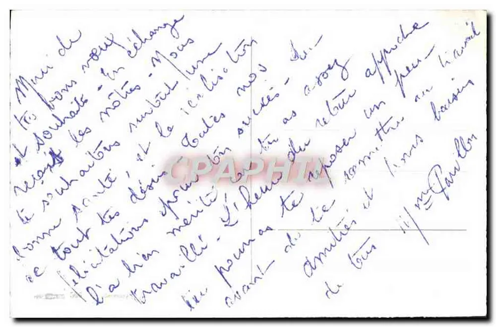 अच्छा और खुश वर्ष — शैम की शाखाओं और फूलों का डिज़ाइन — विशेष अवसर कार्ड - पीछे