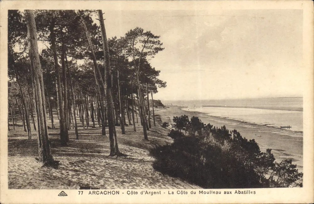 Arcachon - Côte d'Argent - Die Moulleau-Küste bei Abatilles — Antike Ansichtskarte n°77 - Vorderseite