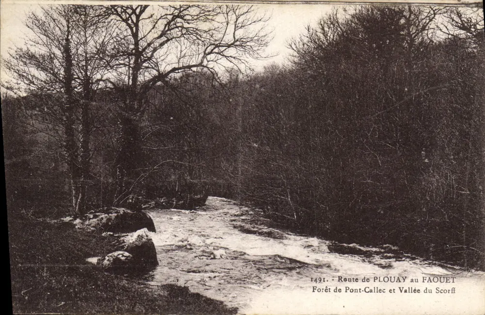 Route von Plouay nach Faouët — Wald von Pont-Callec und Tal des Scorff — n°1491 - Vorderseite