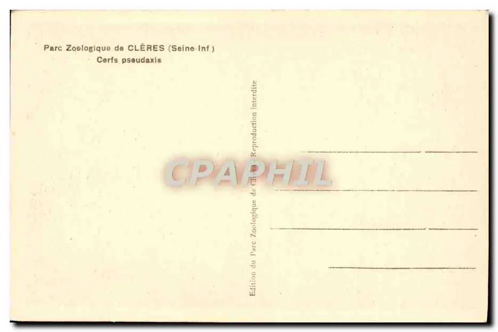 Zoologischer Park von CLÈRES (Seine-Inf) — Pseudaxis-Hirsche — Ausgabe des Zoologischen Parks von CLÈRES - Rückseite
