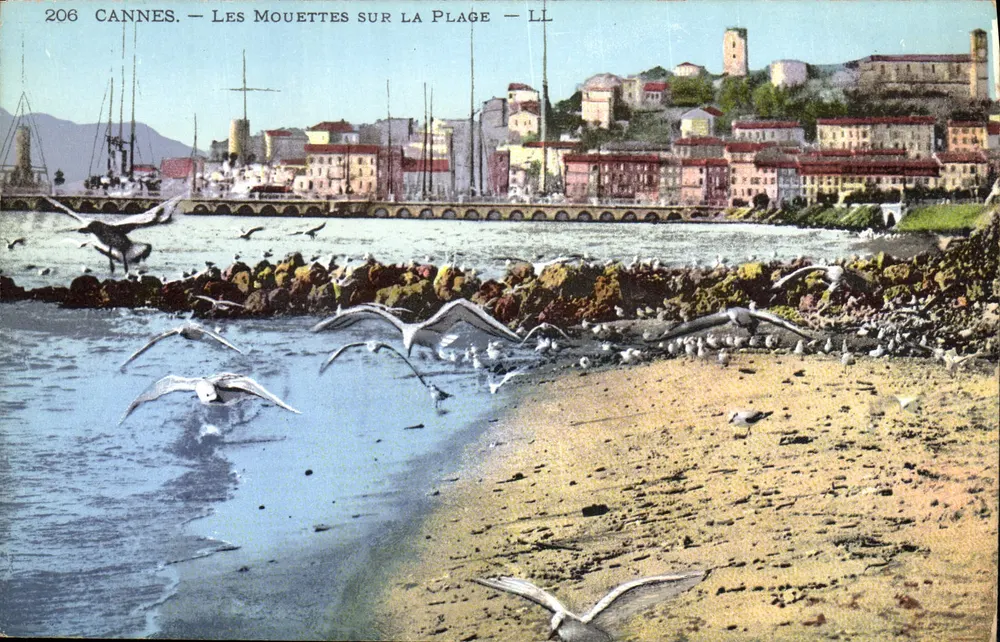 CANNES — As Garças na Praia — LL - Frente