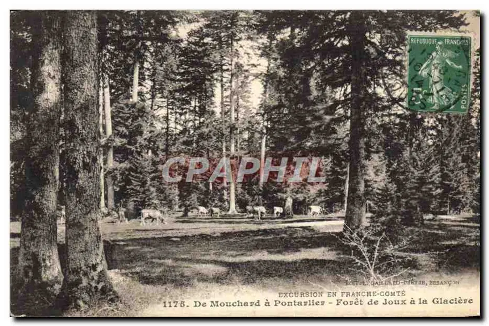 Wald von Joux am Glacier — Ausflug in die Franche-Comté — Verlag L. Gailhard-Piètre, Besançon, n° 1175 - Vorderseite