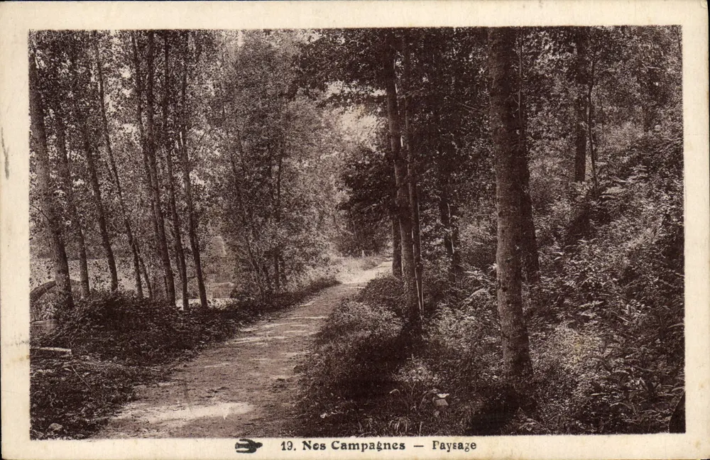 Nes Campagnes — Paisaje — 19. Nes Campagnes — Paisaje - Awers