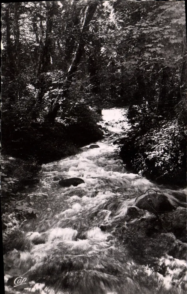 Divonne-les-Bains — Rio em floresta — Cap - Frente