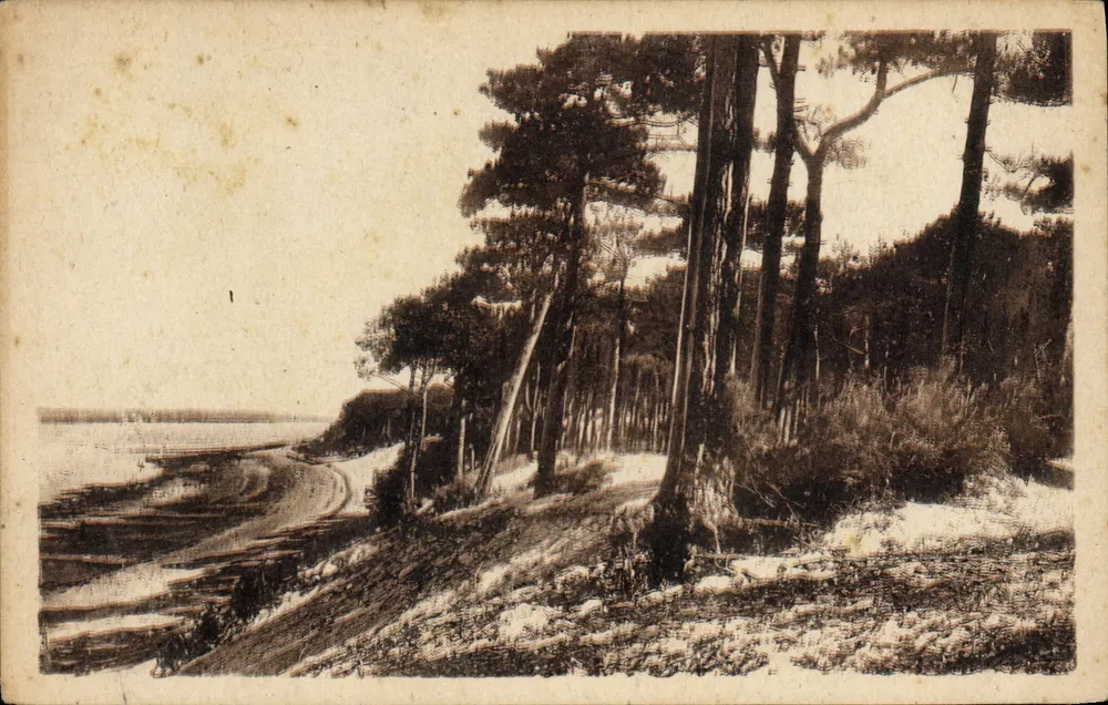 Parc des Abatilles — Côte d'Argent — C° des Arts Photomécaniques, Paris - Vorderseite