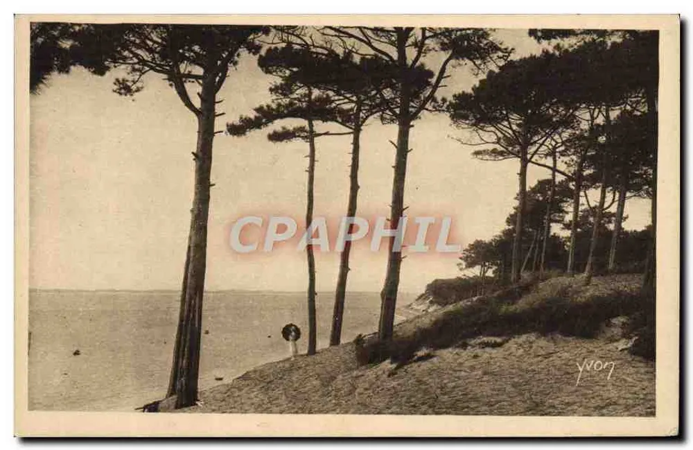 Os encantos da Costa de Argent — Mar e Floresta — Edição Artística YVON, Paris - Frente