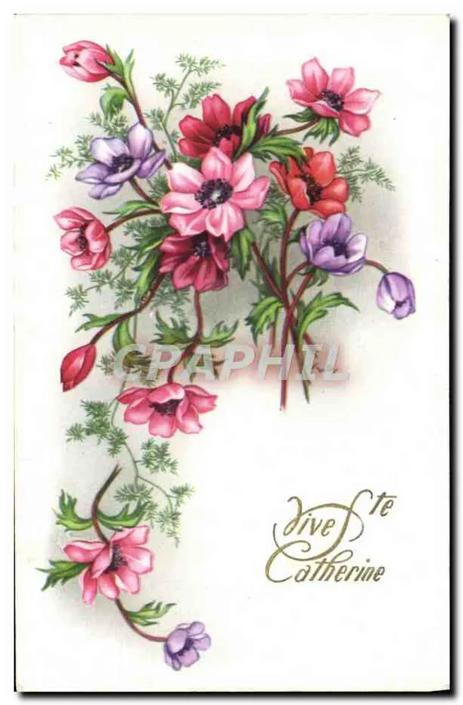 Arranjo de flores — Anêmonas — editor desconhecido - Frente