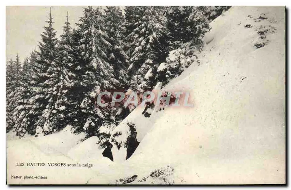 As Altas Vosges sob a neve — Notter, editor fotográfico - Frente