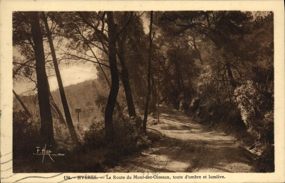 Hyères — A Estrada do Monte dos Pássaros, toda de sombra e luz — F. Hue, n°194 - Frente