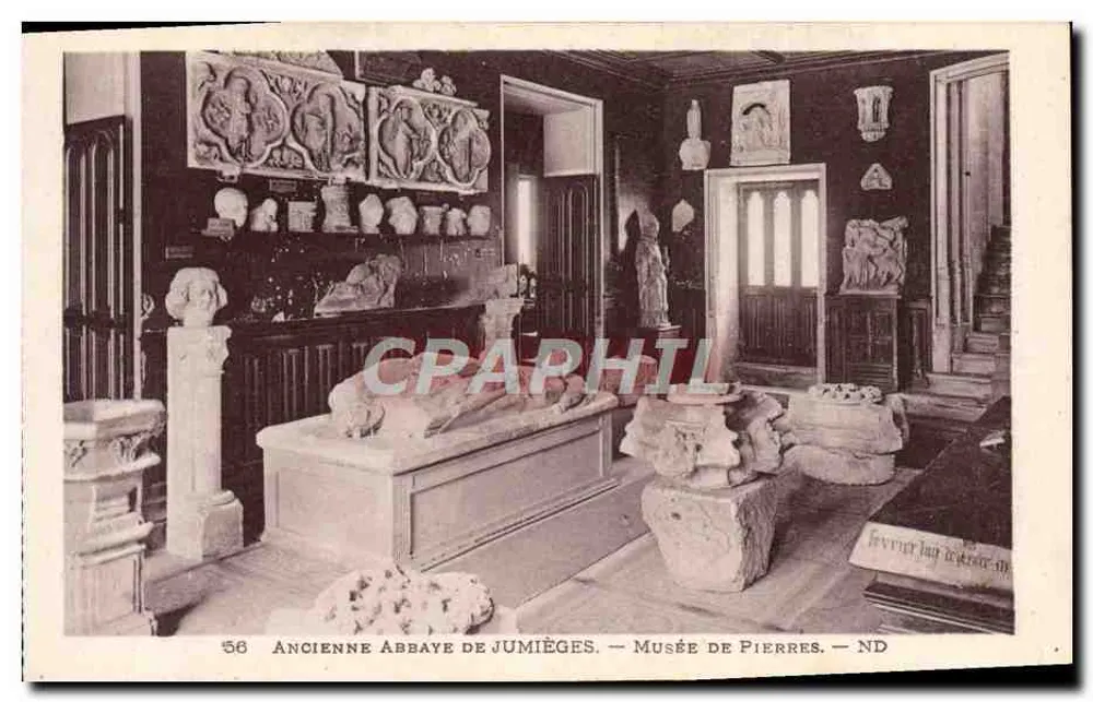 Alte Abtei von Jumièges — Steinmuseum — ND - Vorderseite