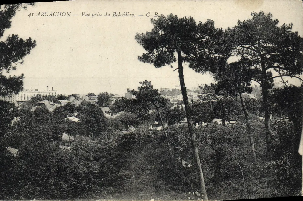 Arcachon — Vista tomada desde el Belvedere — C. B. - Anverso