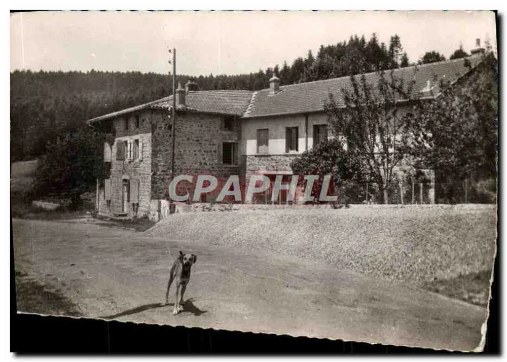 Béthanie-Chansaye (Rhône) — casa de pedra e cachorro — fotografia da casa de Poule-lès-Echarmeaux - Frente